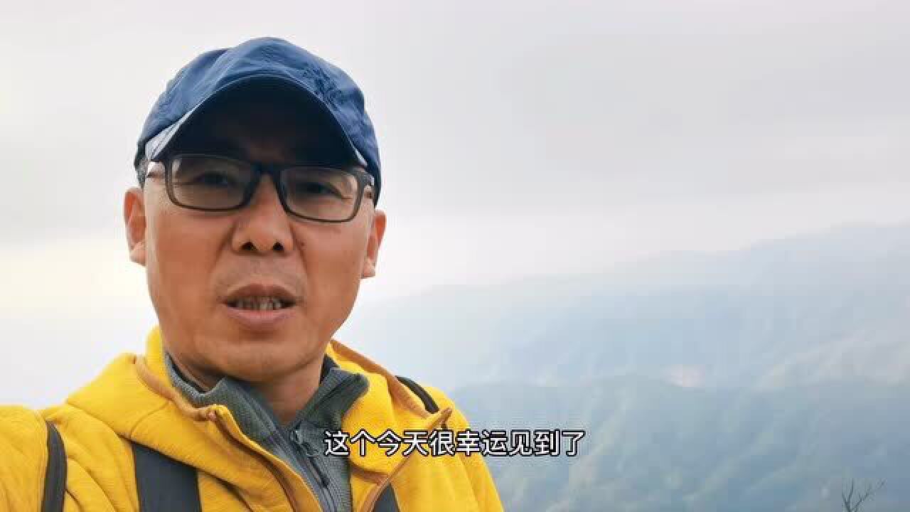 岭南第一险峰金子山,堪比黄山峨眉山云海美景,广东的蓬莱仙境