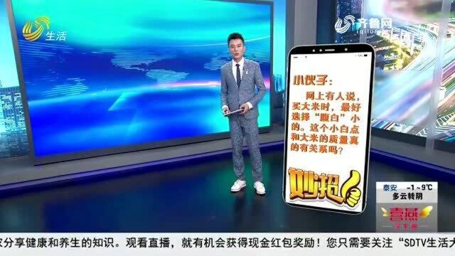 如何选购优质大米 是否需要要看“腹白”?来听听科学解释