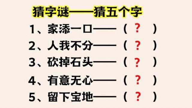 五个字谜:家添一口,人我不分,砍掉石头,有意无心,留下宝地