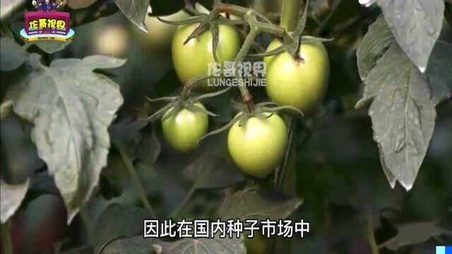 警惕!卡完芯片又卡饭碗,中国5000多家企业,不敌人家一个公司?