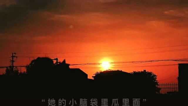 初听不知曲中意,再听已是曲中人!