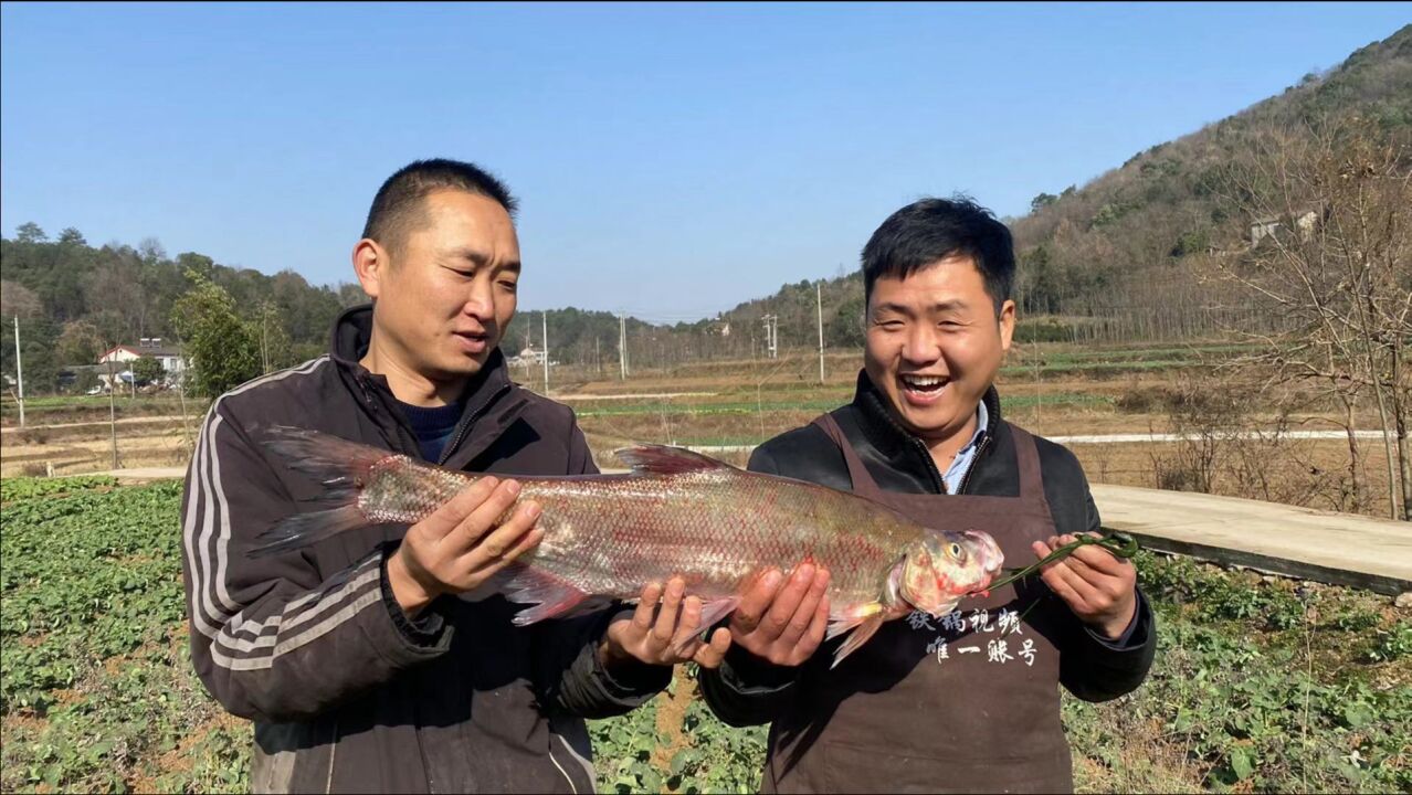 丈母娘拿来一条大白刁,大铁锅一炖,丈母娘家的果然不一样