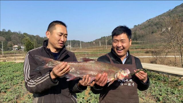 丈母娘拿来一条大白刁,大铁锅一炖,丈母娘家的果然不一样