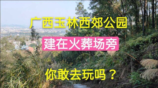 玉林西郊公园,建在火葬场旁,很少人敢去,附近房子4000都少人买