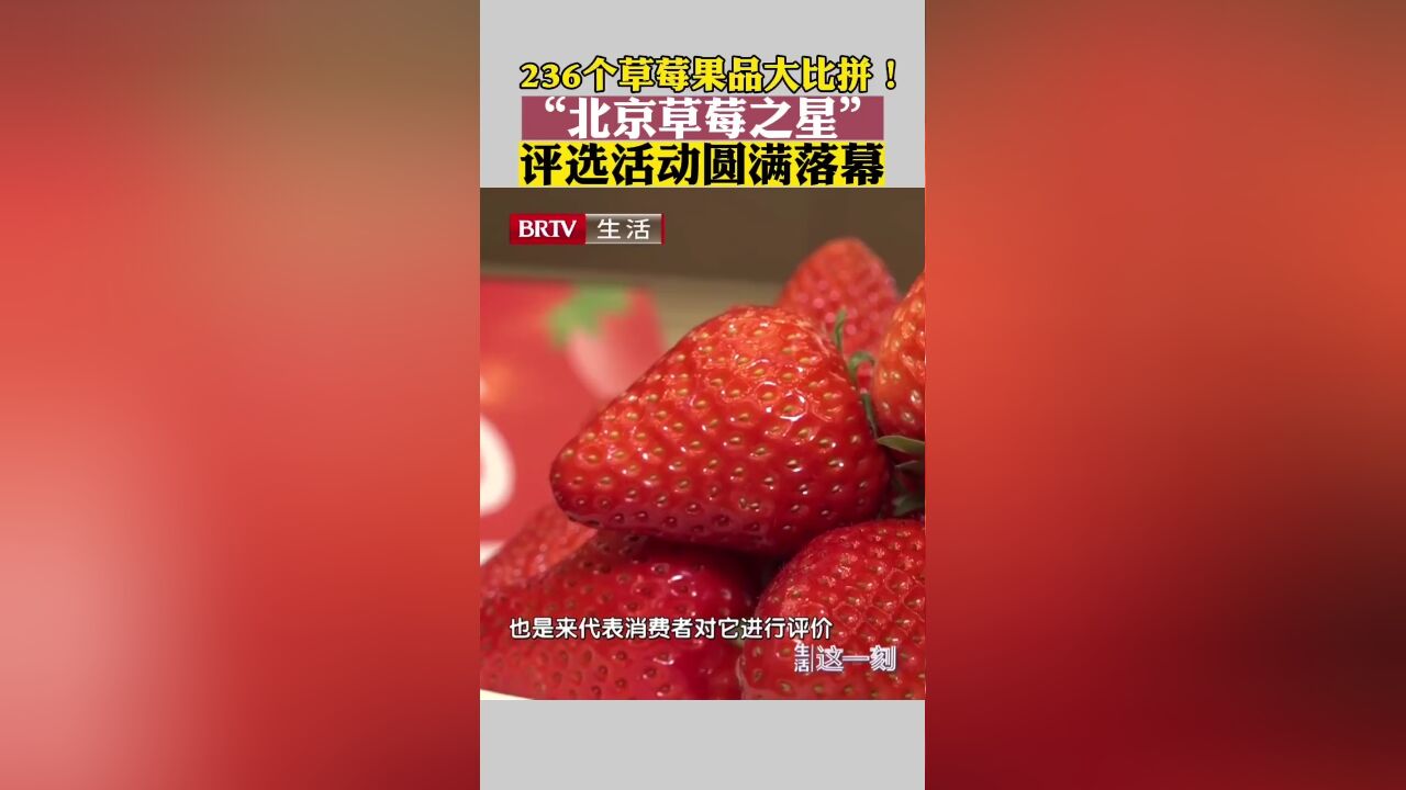 236个草莓果品大比拼!“北京草莓之星”评选活动圆满落幕