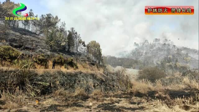 南丰镇发生一起森林山火事故 犯罪嫌疑人梁某已被公安机关控制