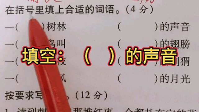 二年级上册期末试卷讲评,在括号里填上合适的词语,怎么样的月光