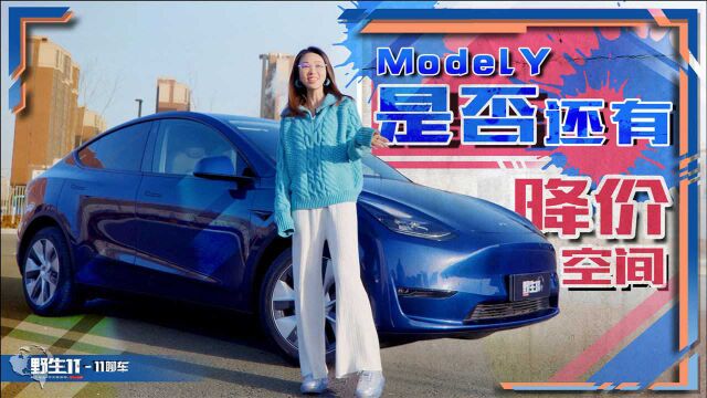 全面体验特斯拉Model Y,它一定还会再降价|野生11