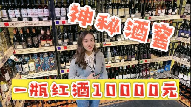 神秘酒窖!一瓶红酒要10000元,酒妹只好偷偷喝自己的白酒