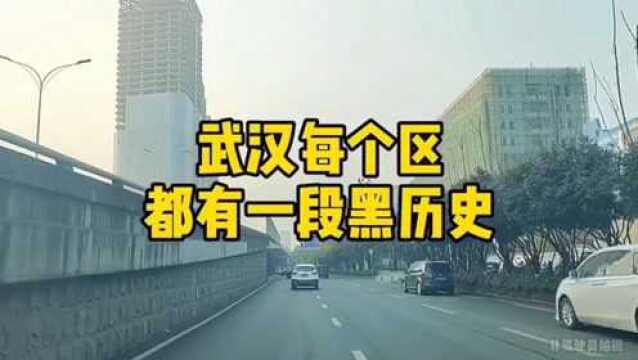 武汉每个区都有一段黑历史