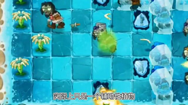 Pvz详解:盘点被嫌弃的植物,理由也是千奇百怪