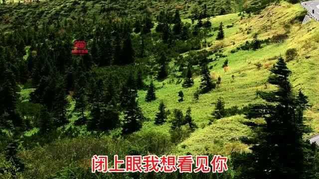 《听心(DJ何鹏版)》张津涤