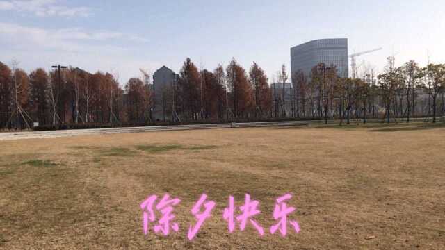 2821除夕快乐