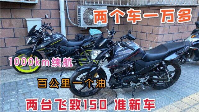 小伙搞了两台神车,雅马哈飞致150续航1000km,几千块一辆超值!