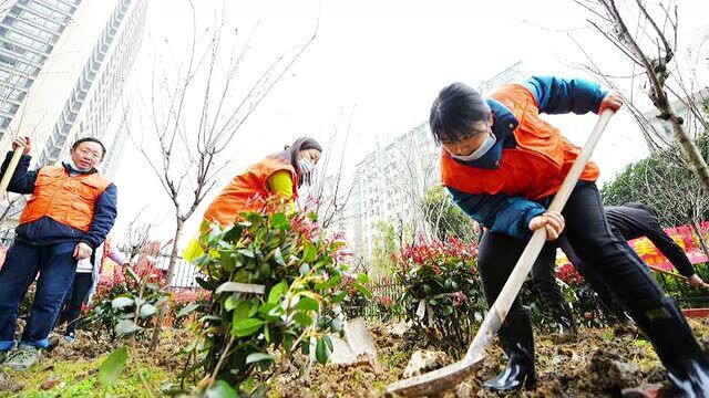 安徽合肥:携手种花植绿 共建美丽社区