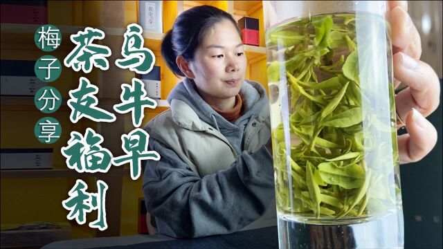 151茶友福利