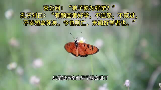 《论语》雍也第六(上),原文+译文