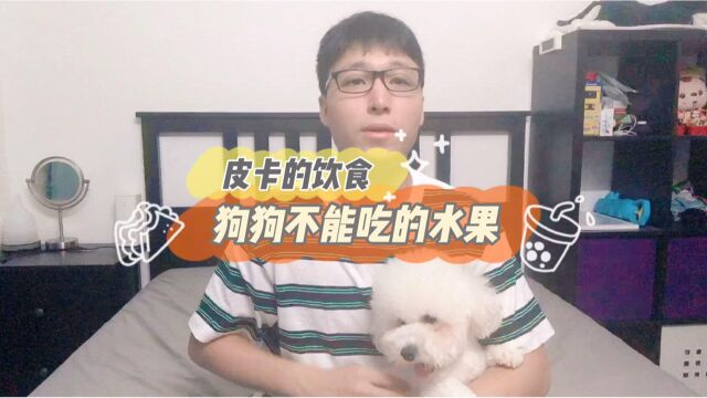 狗狗不能吃的水果,新晋铲屎官注意啦