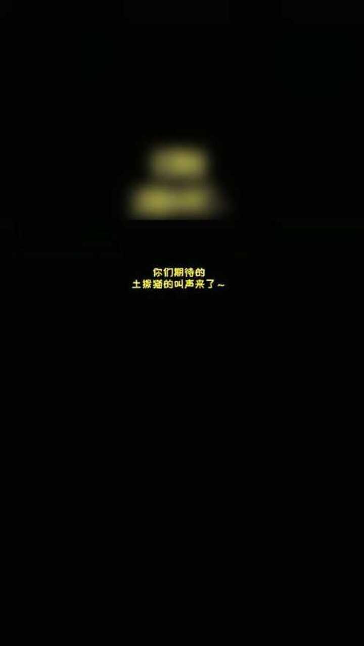 你们期待的土拨猫的叫声来了