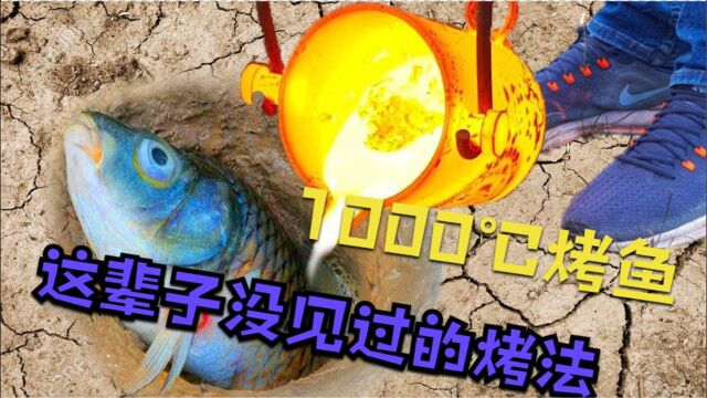 活了28年第一见这样的烤鱼:用1000℃高温铝溶液加热,不拉肚子?