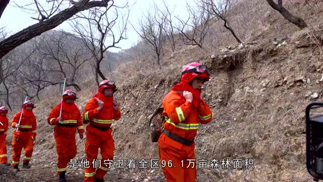 【昌平区创建国家森林城市】大美昌平④:森林保护者,保护万重山