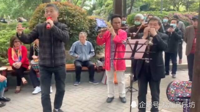 怀旧老歌《一起飞翔》赏析:上海静安周日同乐乐队文艺汇演曲目.