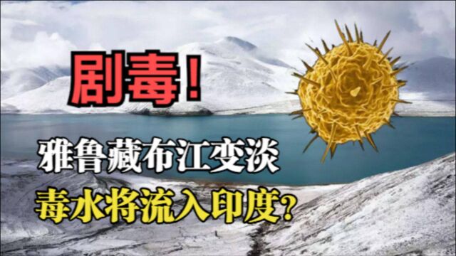 中印面临世纪难题:青藏高原冰川释放全氟烷基酸,印度第一个遭殃