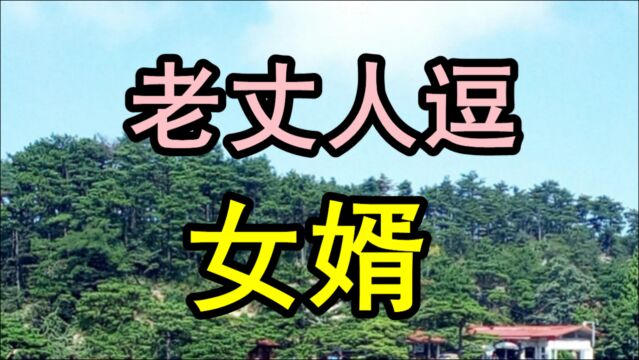 民间故事《老丈人逗女婿》马中原和孔老四是一对铁哥们