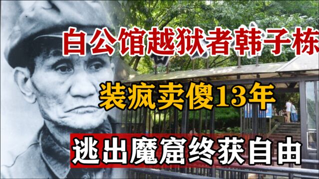 革命英雄韩子栋:装疯卖傻13年,成为白公馆唯一成功越狱