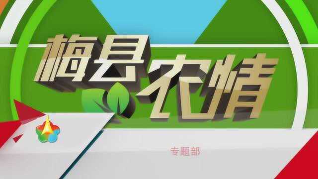 梅县农情2021.4.20城东镇:工业小镇走出一条文旅路