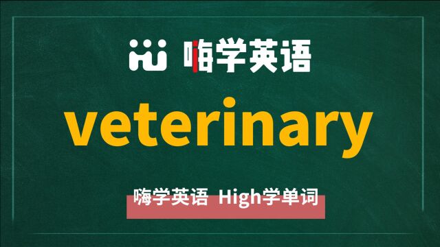 一分钟一词汇,小学、初中、高中英语单词五点讲解,单词veterinary讲解