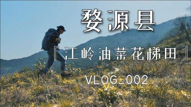 【vlog.002】在婺源江岭,今天景色有点黄