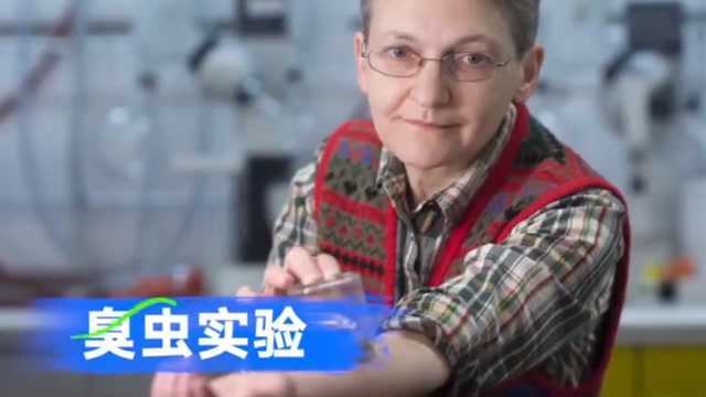 疯狂的科学家(一)