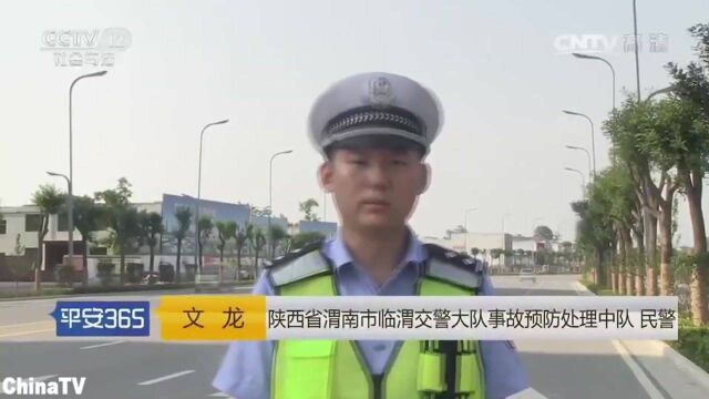 回顾:特殊的车祸!一匹马和一辆轿车相撞!马脖颈处血流不止,当场死亡