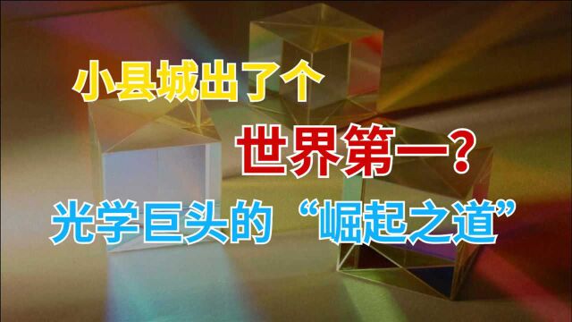 小县城的中国公司,一年卖出1.32亿个镜头,成功拿下全球第一