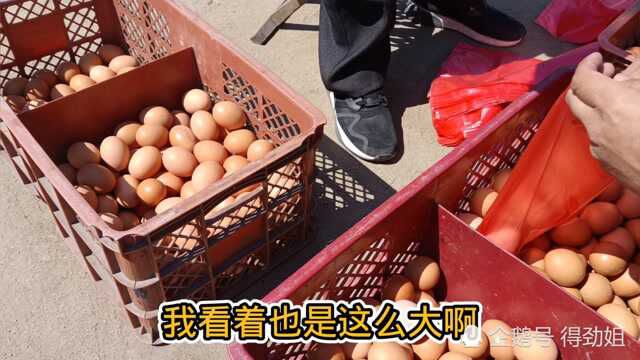 山东农村集市鸡蛋价格多少钱一斤了?很惊人