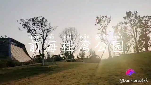 深圳前海~桂湾公园~遛娃好地方