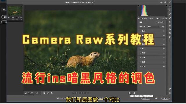 Camera Raw系列教程,实例讲解比较流行ins暗黑风格的调色方法