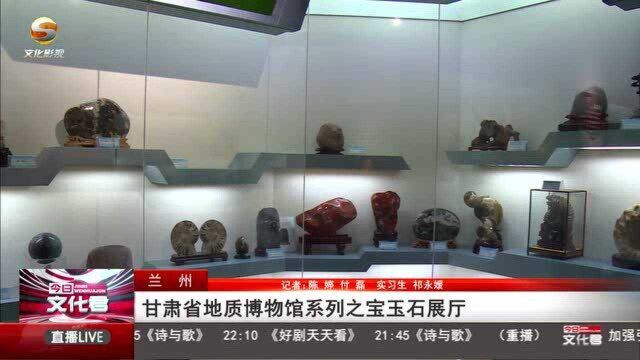 甘肃省地质博物馆系列之宝玉石展厅