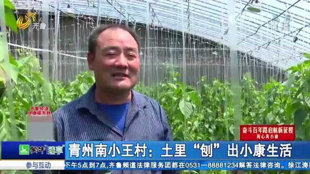 点赞!南小王村:村支书带头“取经”,实施土地流转助力脱贫增收