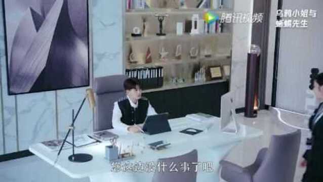 乌鸦小姐与蜥蜴先生