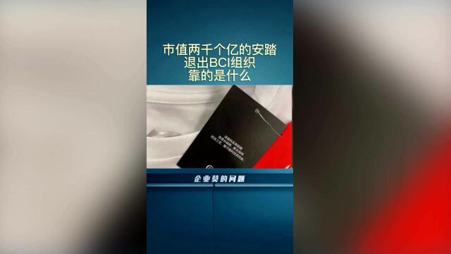 市值2000个亿的安踏,退出BCI组织靠的是什么