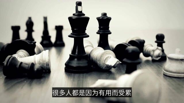 人生在世,究竟是“有用”好,还是“无用”好?一个故事点醒你!