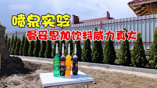 大型喷泉实验,多种碳酸饮料和Mentos,产生的化学反应