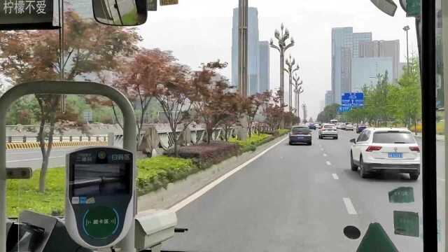 世界最长的城市道路,四川天府大道,看着真的是十分霸气