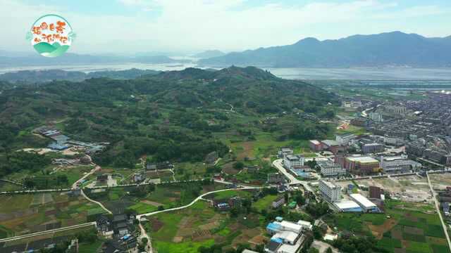 《福鼎白茶仙子乐游记》在福鼎市芳茗茶业有限公司拍摄