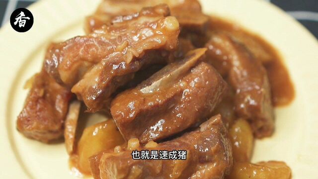 跑山黑猪肉怎么做才好吃?