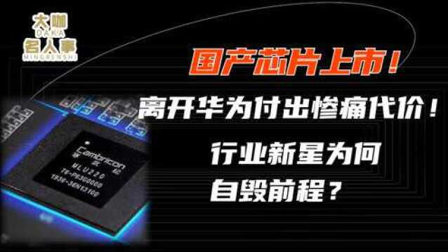 国产芯片上市!离开华为付出惨痛代价!行业新星为何自毁前程?