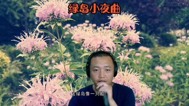 最爱这首老歌《绿岛小夜曲》,旋律优美动听,百听不厌