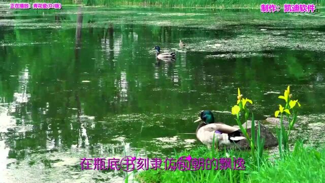 《青花瓷(DJ版)》欣赏,用pr如何制作mv